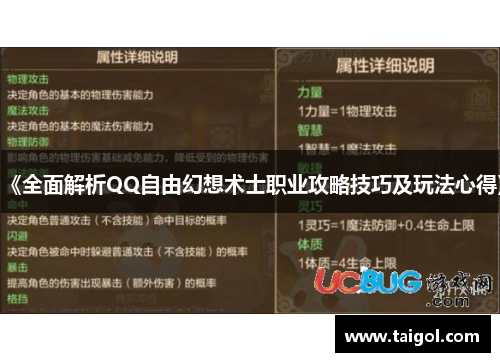 《全面解析QQ自由幻想术士职业攻略技巧及玩法心得》